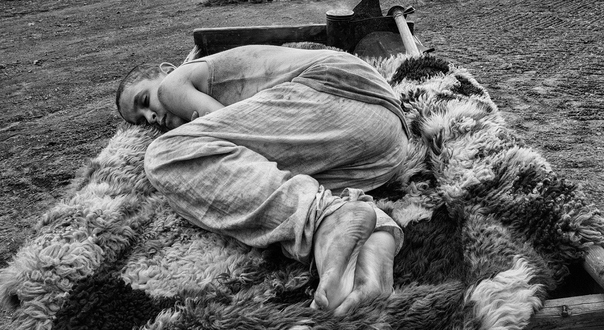 Фільм «Пофарбоване пташеня» номінований на 33-ту премію EFA Awards