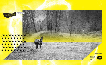 Terrarium запускає безкоштовну програму Резиденція для кіносценаристів